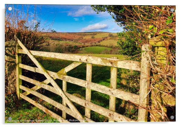 Rustic Charm A Weathered Wooden Gate Acrylic by Stephen Hamer