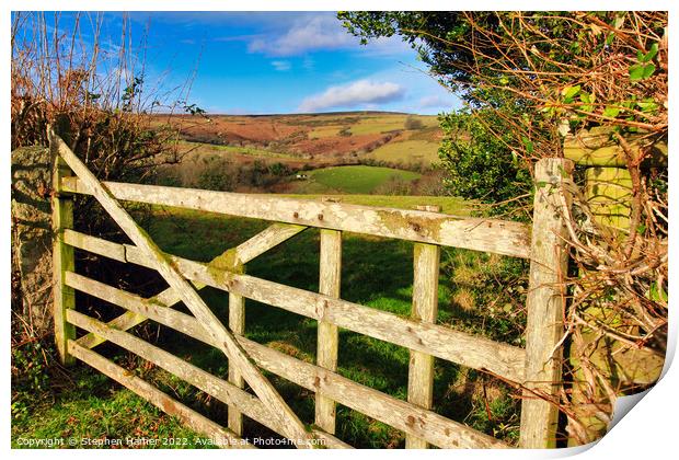 Rustic Charm A Weathered Wooden Gate Print by Stephen Hamer