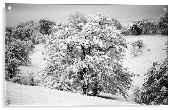  Cotswold Snow Acrylic by Simon Johnson