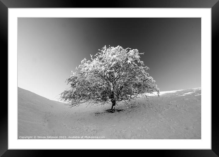Frosted tree in Monochrome Framed Mounted Print by Simon Johnson