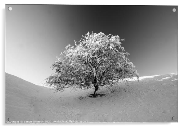 Frosted tree in Monochrome Acrylic by Simon Johnson