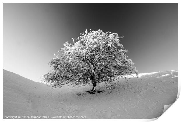Frosted tree in Monochrome Print by Simon Johnson