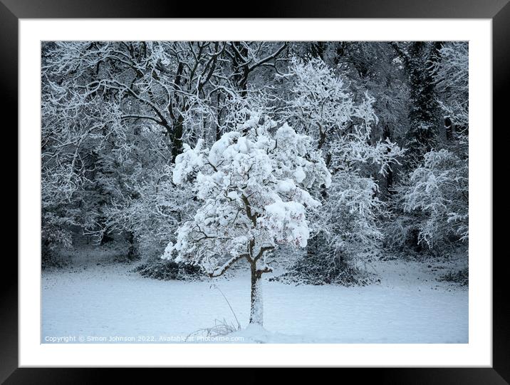 Snow clad tree Framed Mounted Print by Simon Johnson