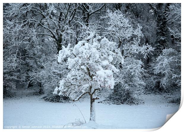 Snow clad tree Print by Simon Johnson