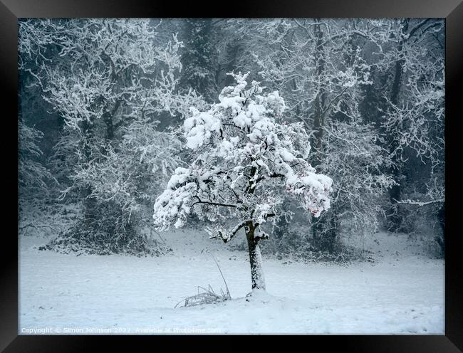 Snow clad tree Framed Print by Simon Johnson