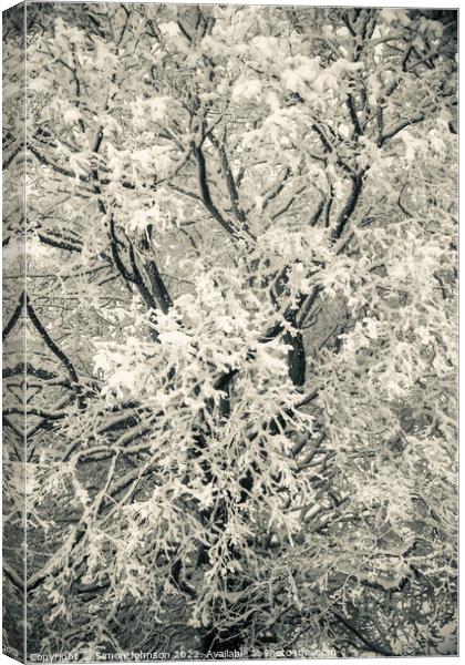 Tree scape with hoar frost  Canvas Print by Simon Johnson