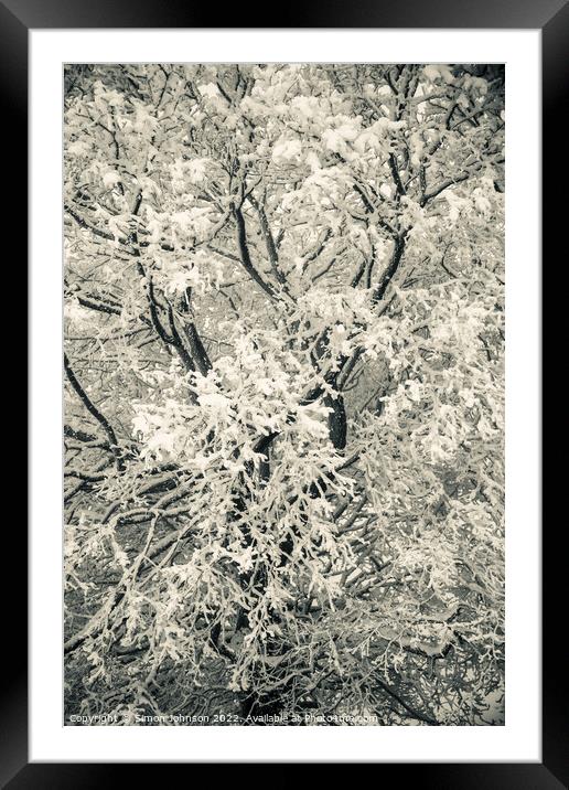 Tree scape with hoar frost  Framed Mounted Print by Simon Johnson