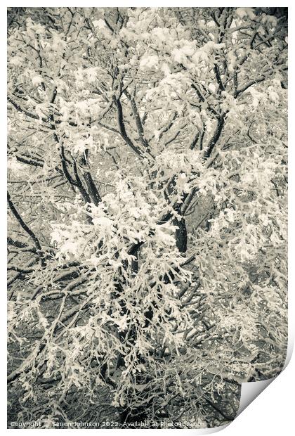 Tree scape with hoar frost  Print by Simon Johnson