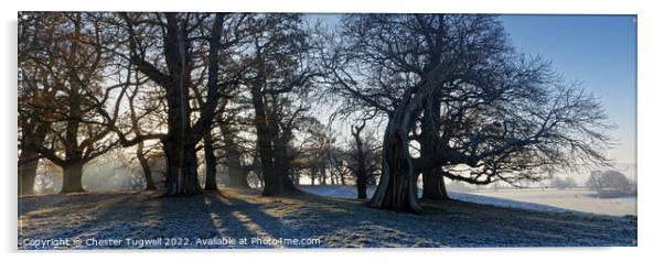 Winter's Morning - Petworth Park Acrylic by Chester Tugwell