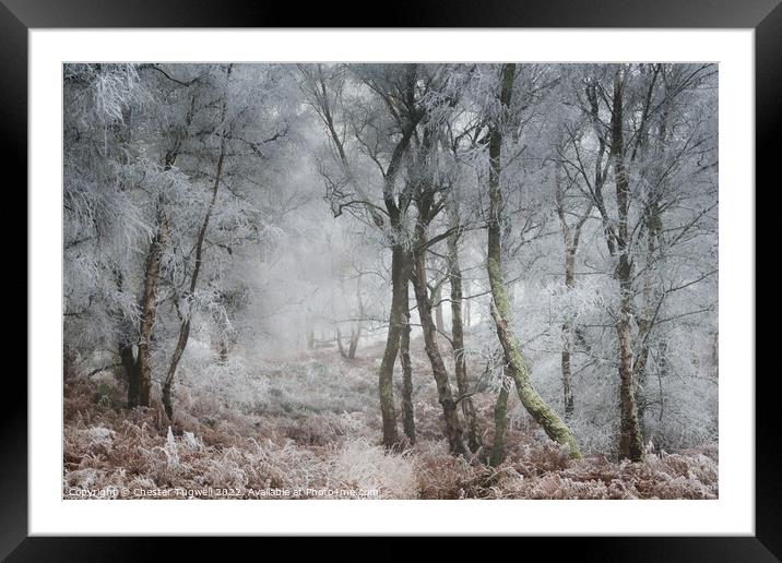 Hoar Frost, Hesworth Common 1 Framed Mounted Print by Chester Tugwell