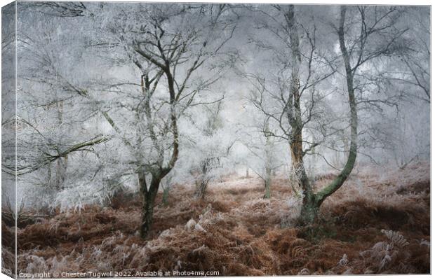 Hesworth Common, Hoar Frost 2 Canvas Print by Chester Tugwell