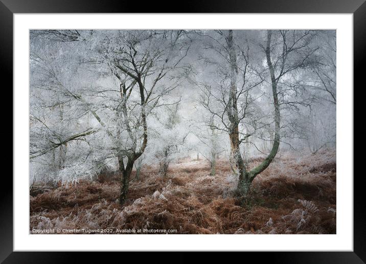 Hesworth Common, Hoar Frost 2 Framed Mounted Print by Chester Tugwell