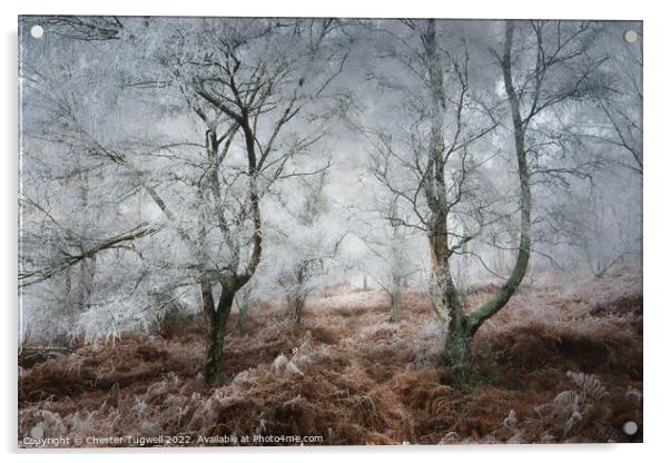 Hesworth Common, Hoar Frost 2 Acrylic by Chester Tugwell