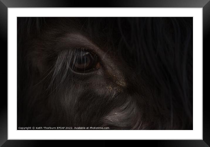 Papa Cow Eye Framed Mounted Print by Keith Thorburn EFIAP/b