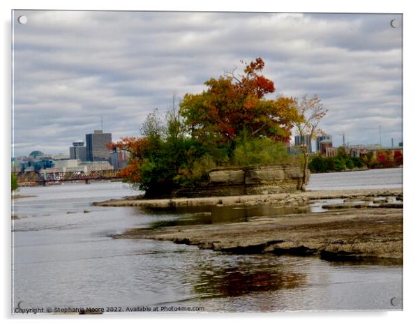 Island in the Ottawa River Acrylic by Stephanie Moore