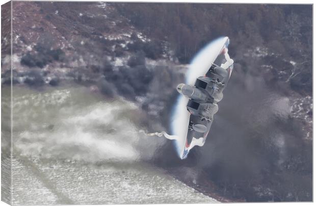 F15 Strike Eagle Heritage Special Canvas Print by Rory Trappe
