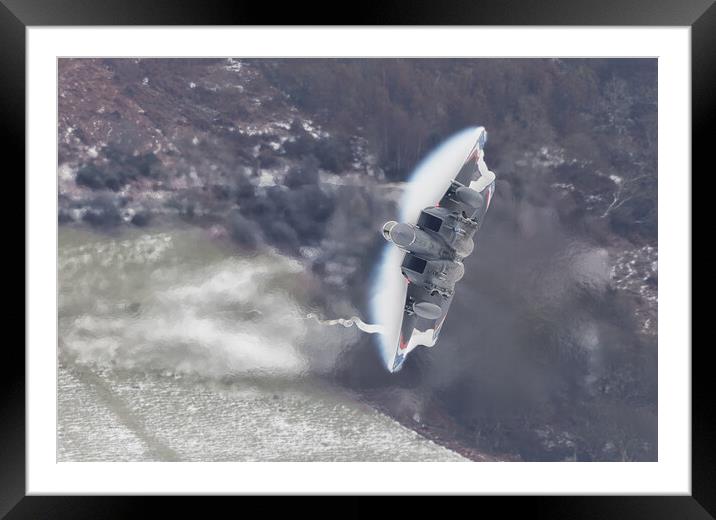 F15 Strike Eagle Heritage Special Framed Mounted Print by Rory Trappe