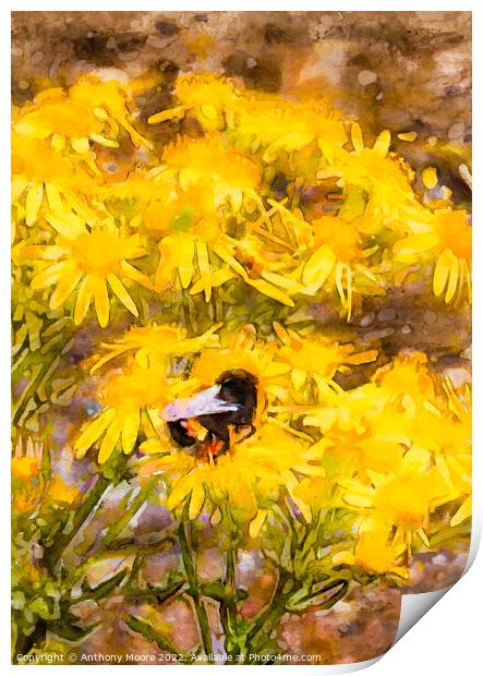 Bee on yellow flowers Print by Anthony Moore