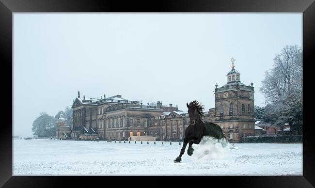 A Winter Gallop Framed Print by Apollo Aerial Photography