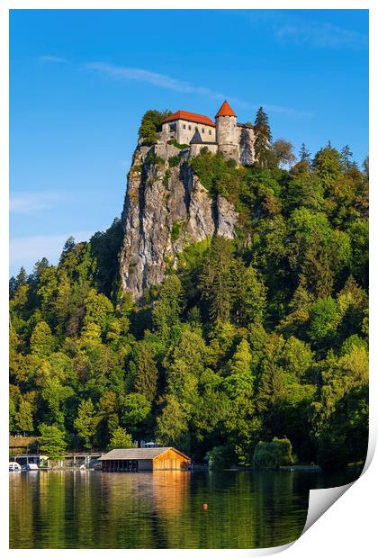 The Bled Castle And Lake In Slovenia Print by Artur Bogacki