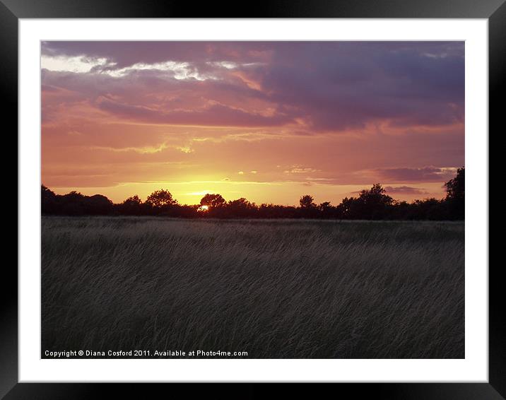 Sunset over fields Framed Mounted Print by DEE- Diana Cosford
