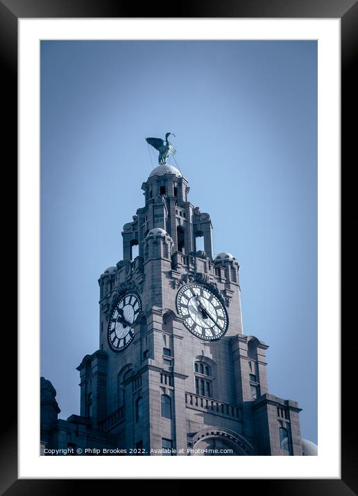 Royal Liver Building Framed Mounted Print by Philip Brookes