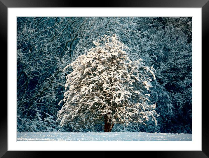 Snow clad tree Framed Mounted Print by Simon Johnson