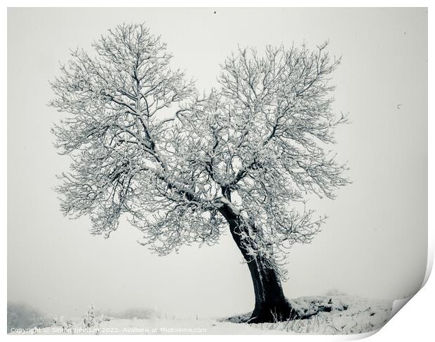 Frosted Tree Print by Simon Johnson