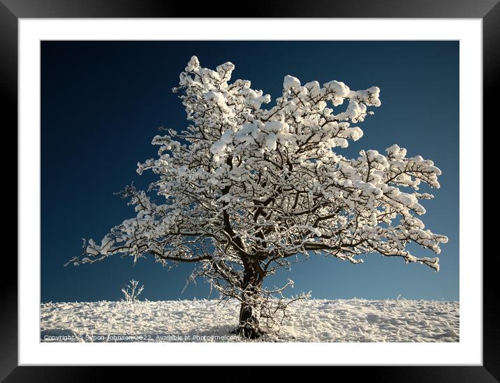 Frosted tree Framed Mounted Print by Simon Johnson