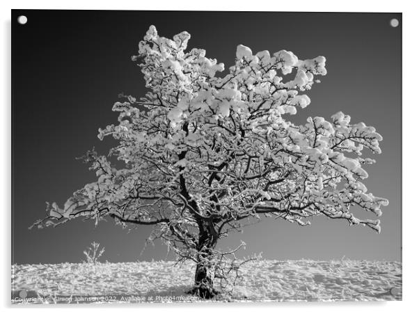 Frosted tree in monochrome  Acrylic by Simon Johnson