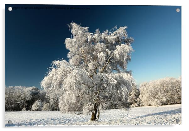 Frosted tree  Acrylic by Simon Johnson