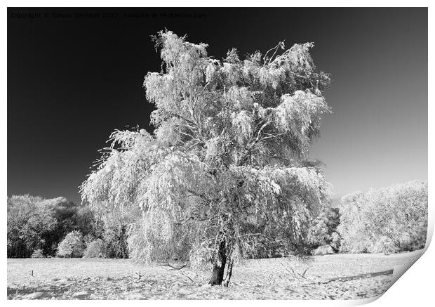 Frosted tree with snow  Print by Simon Johnson