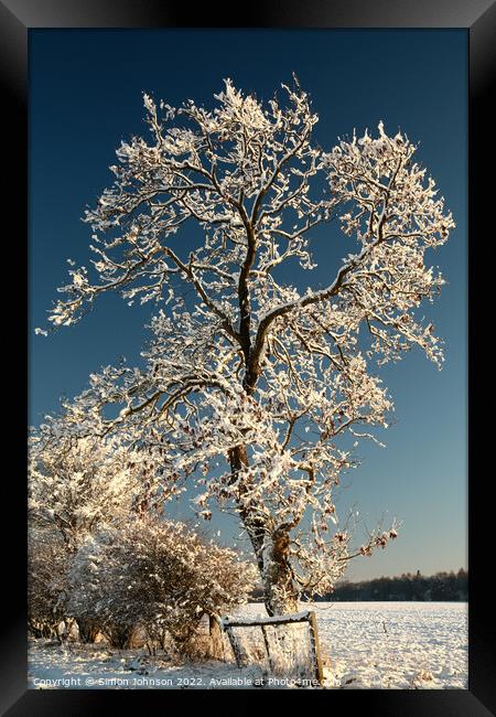 Frosty tree Framed Print by Simon Johnson