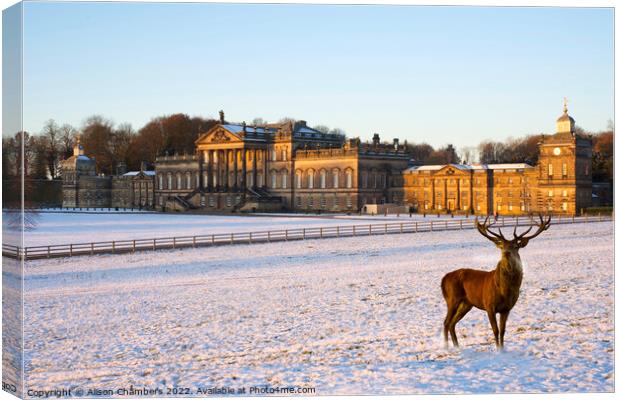 Wentworth Woodhouse  Canvas Print by Alison Chambers