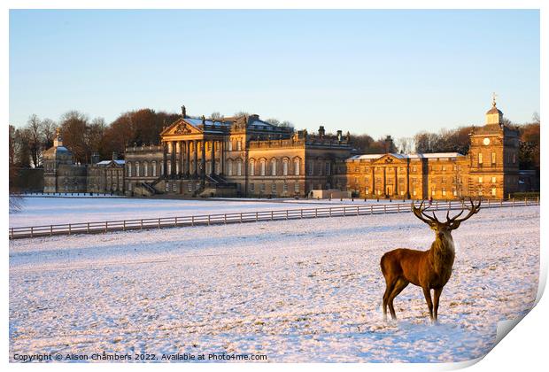 Wentworth Woodhouse  Print by Alison Chambers