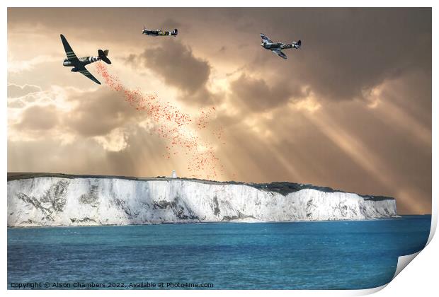 Dover Poppy Drop Print by Alison Chambers