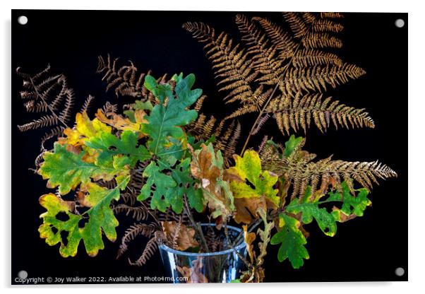Plant leaves Acrylic by Joy Walker