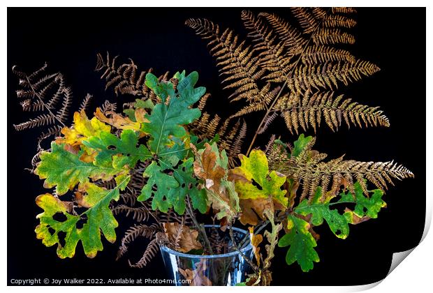 Plant leaves Print by Joy Walker