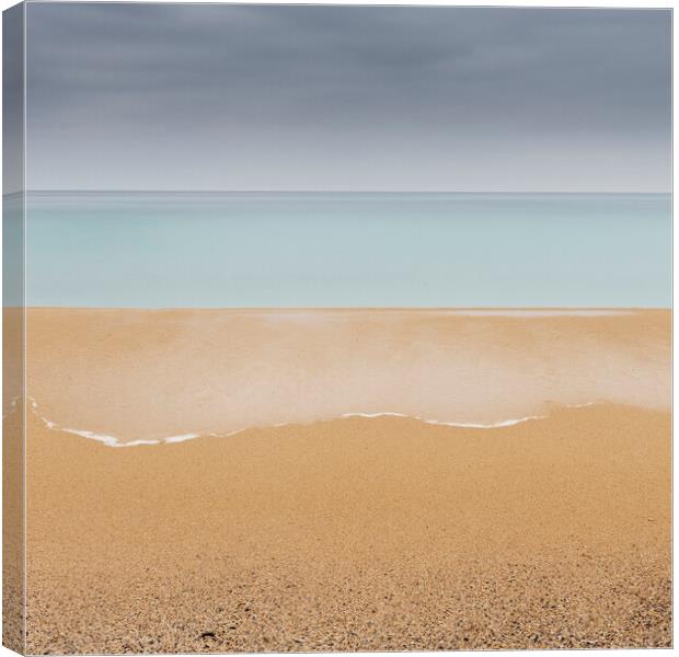 Creeping Canvas Print by Michael Houghton