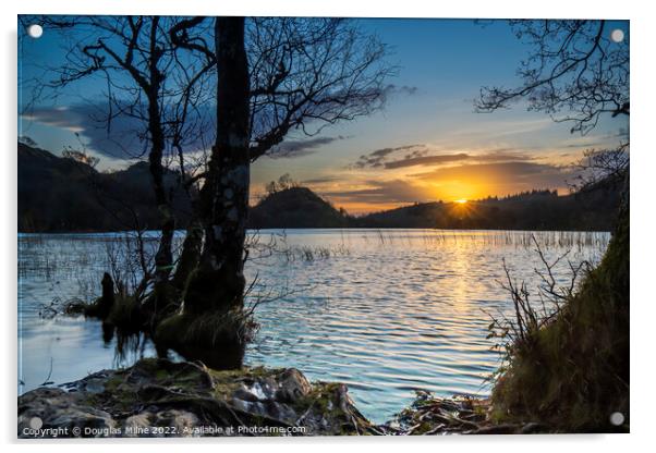 Loch Barnluasgan, Knapdale Acrylic by Douglas Milne