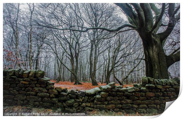 Winter woodlands Print by Richard Perks