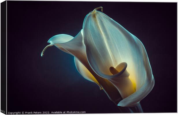 calla Canvas Print by Frank Peters