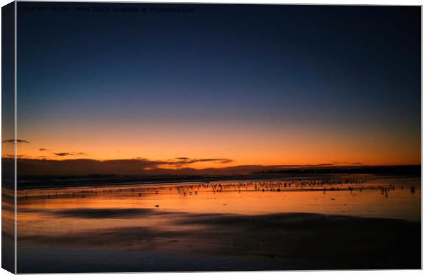 Silhouetted Seagulls on the Sand before Sunrise (2) Canvas Print by Jim Jones