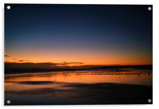 Silhouetted Seagulls on the Sand before Sunrise (2) Acrylic by Jim Jones