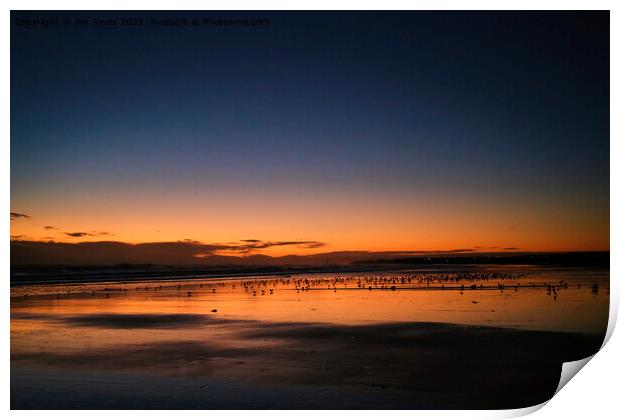 Silhouetted Seagulls on the Sand before Sunrise (2) Print by Jim Jones