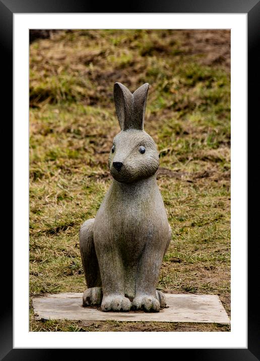 Hare Sculpture  Framed Mounted Print by Glen Allen