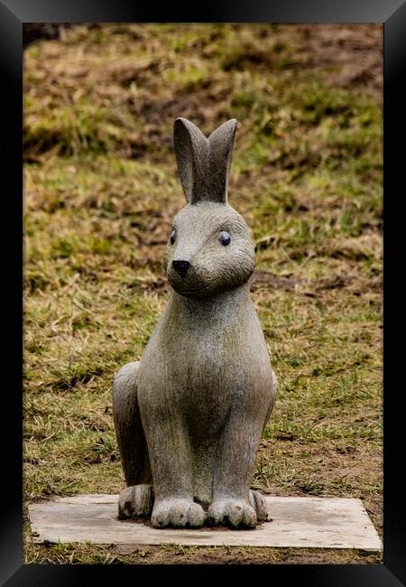 Hare Sculpture  Framed Print by Glen Allen