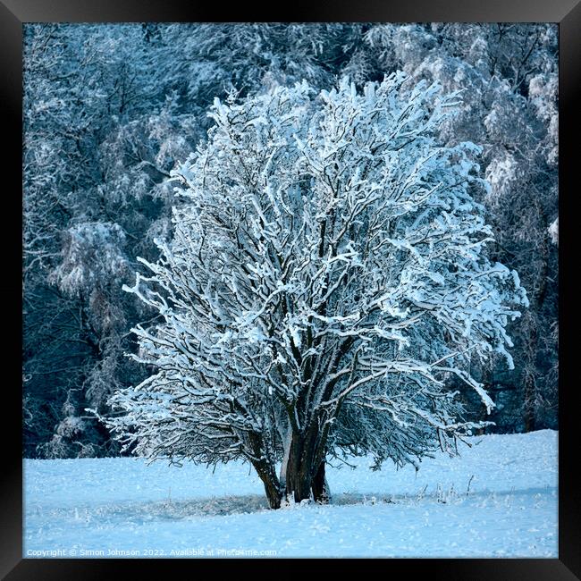 Frosted tree in Snow Framed Print by Simon Johnson