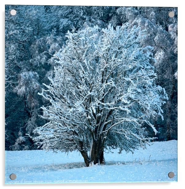 Frosted tree in Snow Acrylic by Simon Johnson