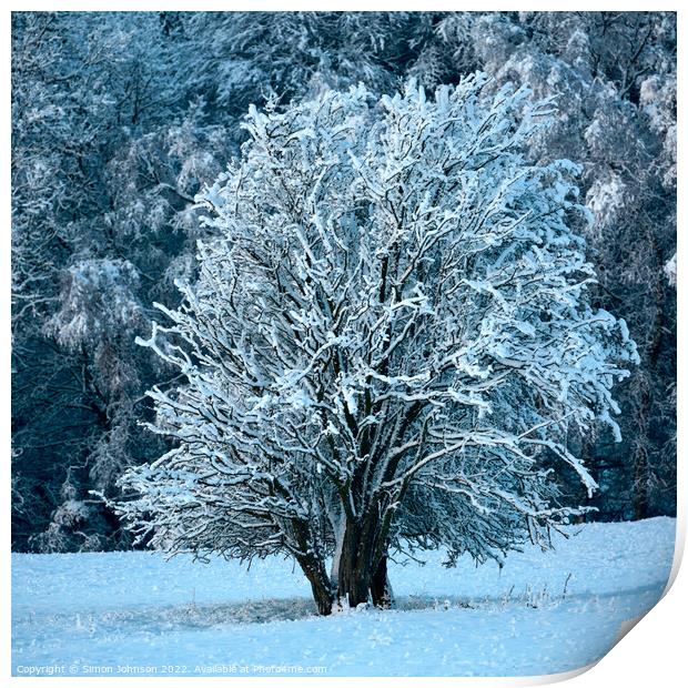Frosted tree in Snow Print by Simon Johnson